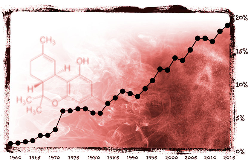 
Hoe meer THC, hoe meer psychoactief de drugs en hoe hoger de kans op misbruik, verslaving, en andere schadelijke effecten.
